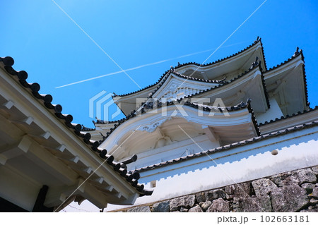 伊賀上野城と青空 102663181