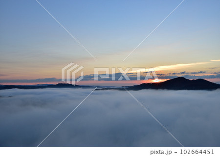 鎌倉山の雲海 102664451