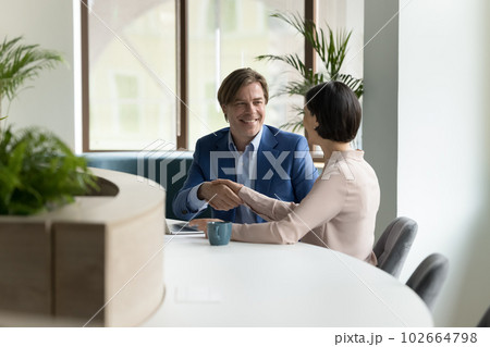 Mature 55s businesspeople shake hands making profitable commercial deal 102664798