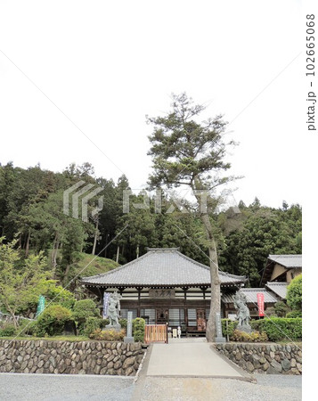 秩父札所三番　常泉寺　本堂 102665068