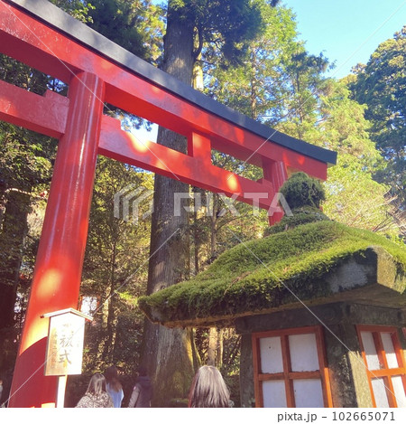 神社の鳥居と青空 神社の鳥居と青空 102665071