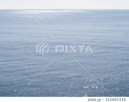 日光を反射してキラキラと煌めく海(太平洋)。 日光を反射してキラキラと煌めく海(太平洋)。 102665338