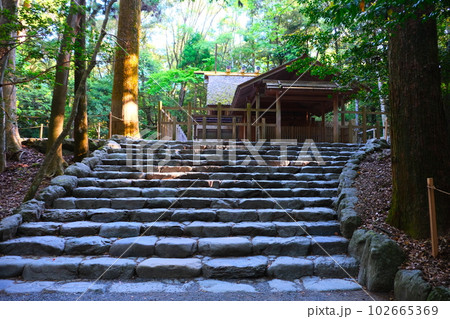 新緑の伊勢神宮内宮荒祭宮 102665369