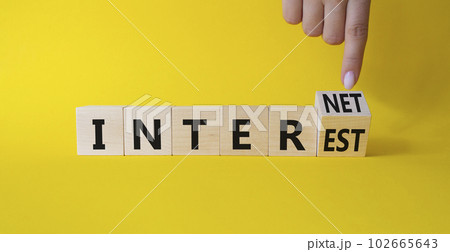 Internet and Interest symbol. Businessman Hand points at wooden cubes with words Interest and Internet. Beautiful yellow background. Business and Internet and Interest. Copy space Internet and Interest symbol. Businessman Hand points at wooden cubes with words Interest and Internet. Beautiful yellow background. Business and Internet and Interest. Copy space 102665643