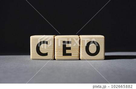 CEO - hief executive officer symbol. Concept word CEO on wooden cubes. Beautiful grey background. Business and CEO concept. Copy space. CEO - hief executive officer symbol. Concept word CEO on wooden cubes. Beautiful grey background. Business and CEO concept. Copy space. 102665882