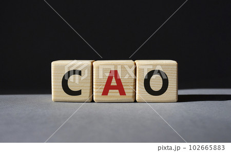 CAO - Chief Accounting Officer symbol. Wooden cubes with word CAO. Beautiful grey background. Business and Chief Accounting Officer concept. Copy space. CAO - Chief Accounting Officer symbol. Wooden cubes with word CAO. Beautiful grey background. Business and Chief Accounting Officer concept. Copy space. 102665883