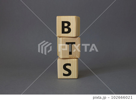 BTS symbol. Wooden cubes with word BTS. Beautiful grey background. BTS concept. Copy space. 102666021