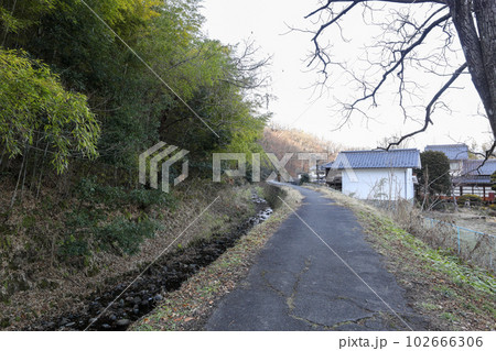 長野市　松代町　神田川沿いの散歩道 102666306