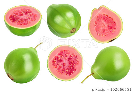 Guava fruit with slices isolated on white background with full depth of field. Top view. Flat lay Guava fruit with slices isolated on white background with full depth of field. Top view. Flat lay 102666551
