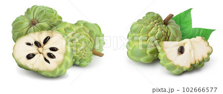 Sugar apple or custard apple isolated on white background with full depth of field. Exotic tropical Thai annona or cherimoya fruit Sugar apple or custard apple isolated on white background with full depth of field. Exotic tropical Thai annona or cherimoya fruit 102666577