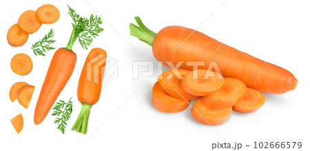 Carrot isolated on white background with full depth of field. Top view with copy space for your text. Flat lay, 102666579