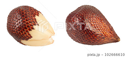 Salak snake fruit isolated on white background with full depth of field Salak snake fruit isolated on white background with full depth of field 102666610