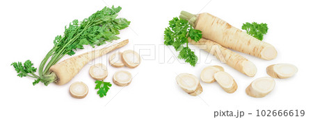 Parsley root with slices and leaves isolated on white background 102666619