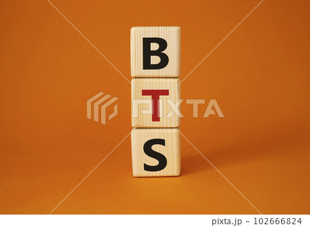 BTS symbol. Wooden cubes with word BTS. Beautiful orange background. BTS concept. Copy space. BTS symbol. Wooden cubes with word BTS. Beautiful orange background. BTS concept. Copy space. 102666824