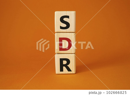 SDR, Special Drawing Rights. Wooden cubes with word SDR. Beautiful orange background. Business and SDR concept. Copy space. SDR, Special Drawing Rights. Wooden cubes with word SDR. Beautiful orange background. Business and SDR concept. Copy space. 102666825