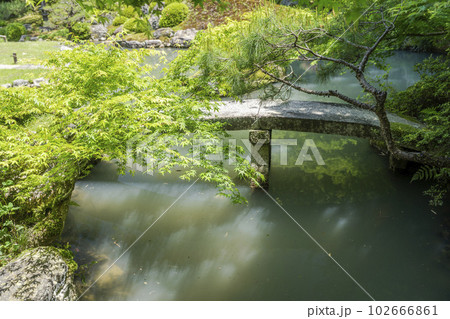 初夏の青蓮院門跡　龍心池と相阿弥の庭　京都府京都市 102666861