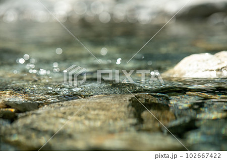自然豊かな山中の清流 自然豊かな山中の清流 102667422