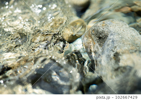 自然豊かな山中の清流 自然豊かな山中の清流 102667429