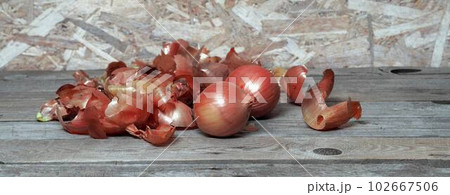 Onions with husks on a wooden natural background.The concept of the benefits of onions for human health. 102667506