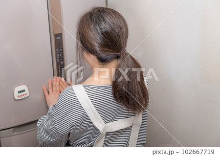 【冷蔵室を閉める主婦】 【冷蔵室を閉める主婦】 102667719