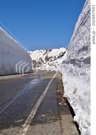 立山　雪の大谷 102667991