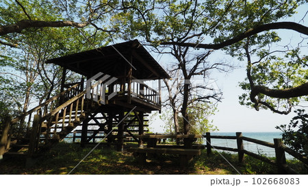 初夏の海風が気持ちいい山口県通津美が浦公園 102668083