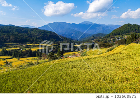 高知県/ 収穫前の「吉延の棚田」 高知県/ 収穫前の「吉延の棚田」 102668875