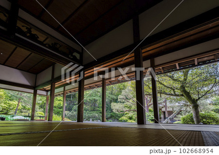 初夏の青蓮院門跡　華頂殿から見た新緑の相阿弥の庭　京都府京都市 102668954