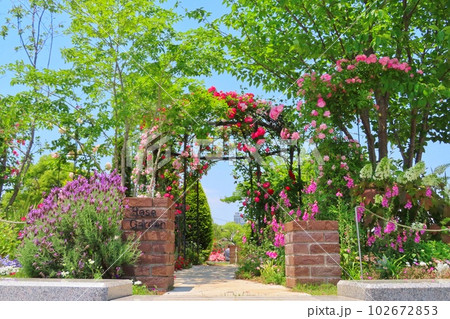 【広島県】福山ばら祭 102672853