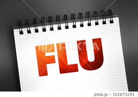 Flu - infectious disease caused by influenza viruses, text on notepad concept background Flu - infectious disease caused by influenza viruses, text on notepad concept background 102673291