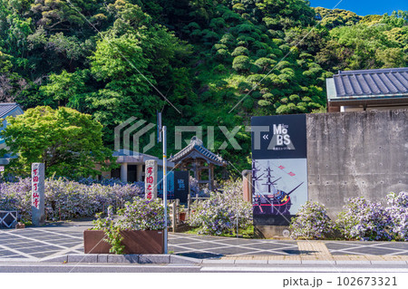 （静岡県）伊豆下田、アメリカジャスミンが美しい、了仙寺・MoBS　黒船ミュージアム 102673321