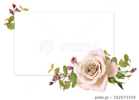 Pink rose flower and green eucalyptus leaves in a floral arrangement with a card for text isolated on white Pink rose flower and green eucalyptus leaves in a floral arrangement with a card for text isolated on white 102673359