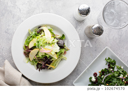 Fall salad and appetizer table 102674570