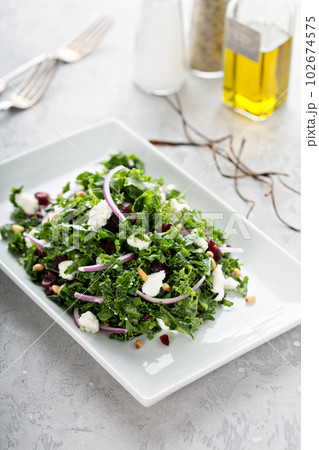 Kale salad with cranberry and feta 102674575