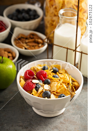 Cereal bar or buffet wih cornflakes, fruit and nuts Cereal bar or buffet wih cornflakes, fruit and nuts 102675122