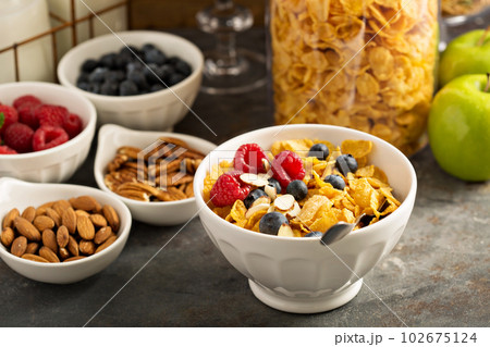 Cereal bar or buffet wih cornflakes, fruit and nuts Cereal bar or buffet wih cornflakes, fruit and nuts 102675124