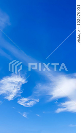 Blue sky with clouds, flying birds and green branches. Summer nature. Road. Blue sky with clouds, flying birds and green branches. Summer nature. Road. 102676051