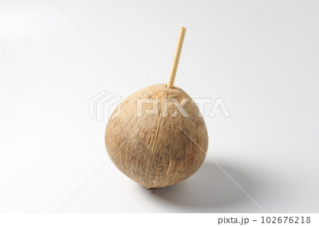 ココナッツ　白バック 102676218