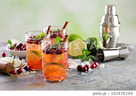 Refreshing winter cocktail with lime and cranberry 102676289