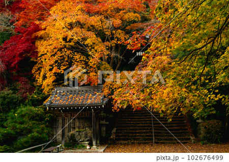 京都西山の金蔵寺の紅葉 手水舎と参道 京都西山の金蔵寺の紅葉 手水舎と参道 102676499