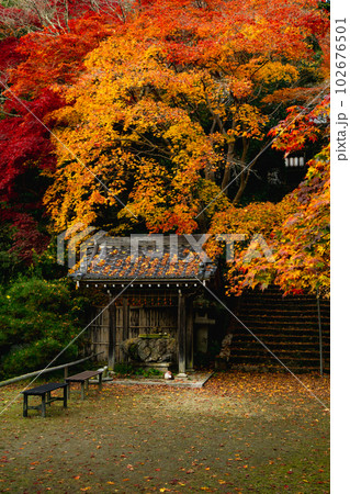 京都西山の金蔵寺の紅葉　手水舎と参道 102676501
