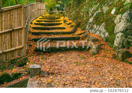 京都西山の金蔵寺の紅葉 参道のもみじ 京都西山の金蔵寺の紅葉 参道のもみじ 102676512