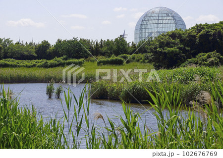 葛西臨海公園・上の池 102676769