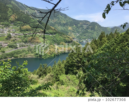 五月晴れの中山間に芽吹く茶畑や新緑 五月晴れの中山間に芽吹く茶畑や新緑 102677308