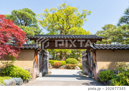 新緑の彦三緑地 金沢市 新緑の彦三緑地 金沢市 102677385