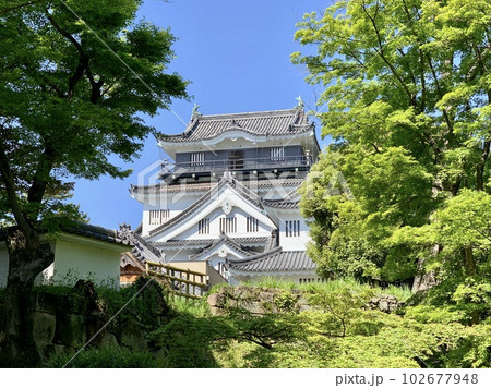 岡崎城天守閣〈岡崎城公園/愛知県岡崎市〉 102677948