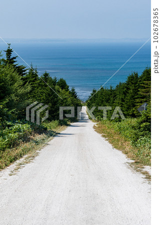 宗谷丘陵 白い道のイメージ 北海道稚内市 宗谷丘陵 白い道のイメージ 北海道稚内市 102678365