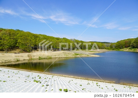 利根別自然公園・大正池 102678454