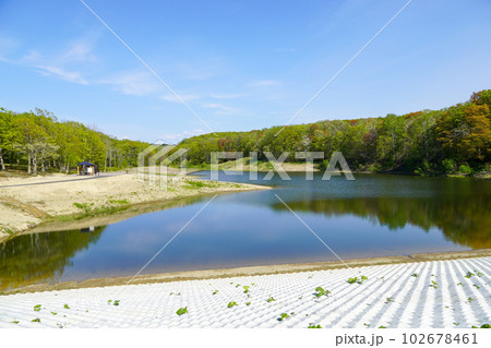 利根別自然公園・大正池 利根別自然公園・大正池 102678461