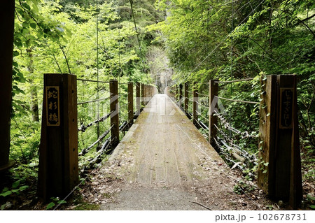 広島県三段峡の蛇杉橋 広島県三段峡の蛇杉橋 102678731
